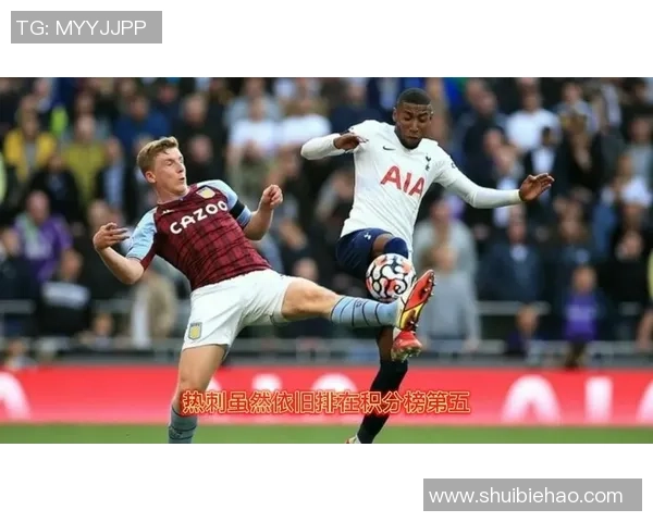 莱切斯特城与热刺的对决谁能胜出精彩分析与预测